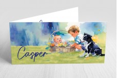 Broertjes met border collie Broertjes met border collie